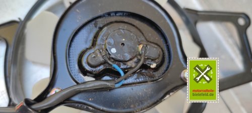 IMG_20230826_170125